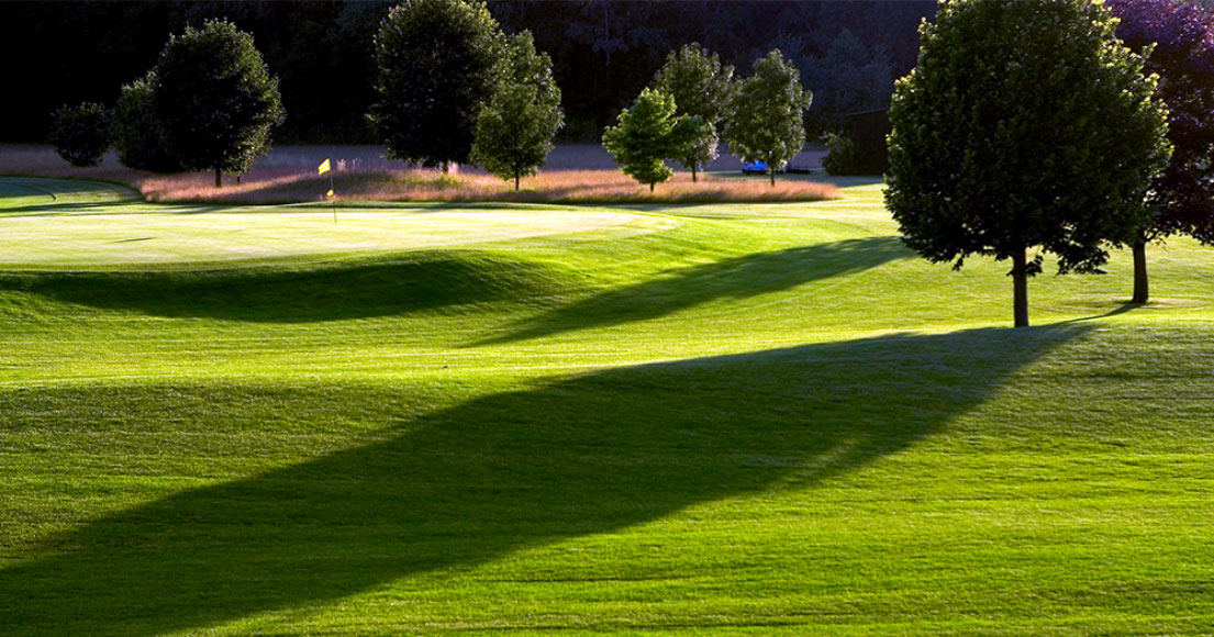 Grüner Rasen im Golfclub Schloss Ebreichsdorf