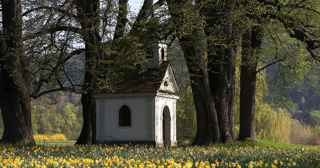 Kleine Kapelle auf einer blühenden Wiese
